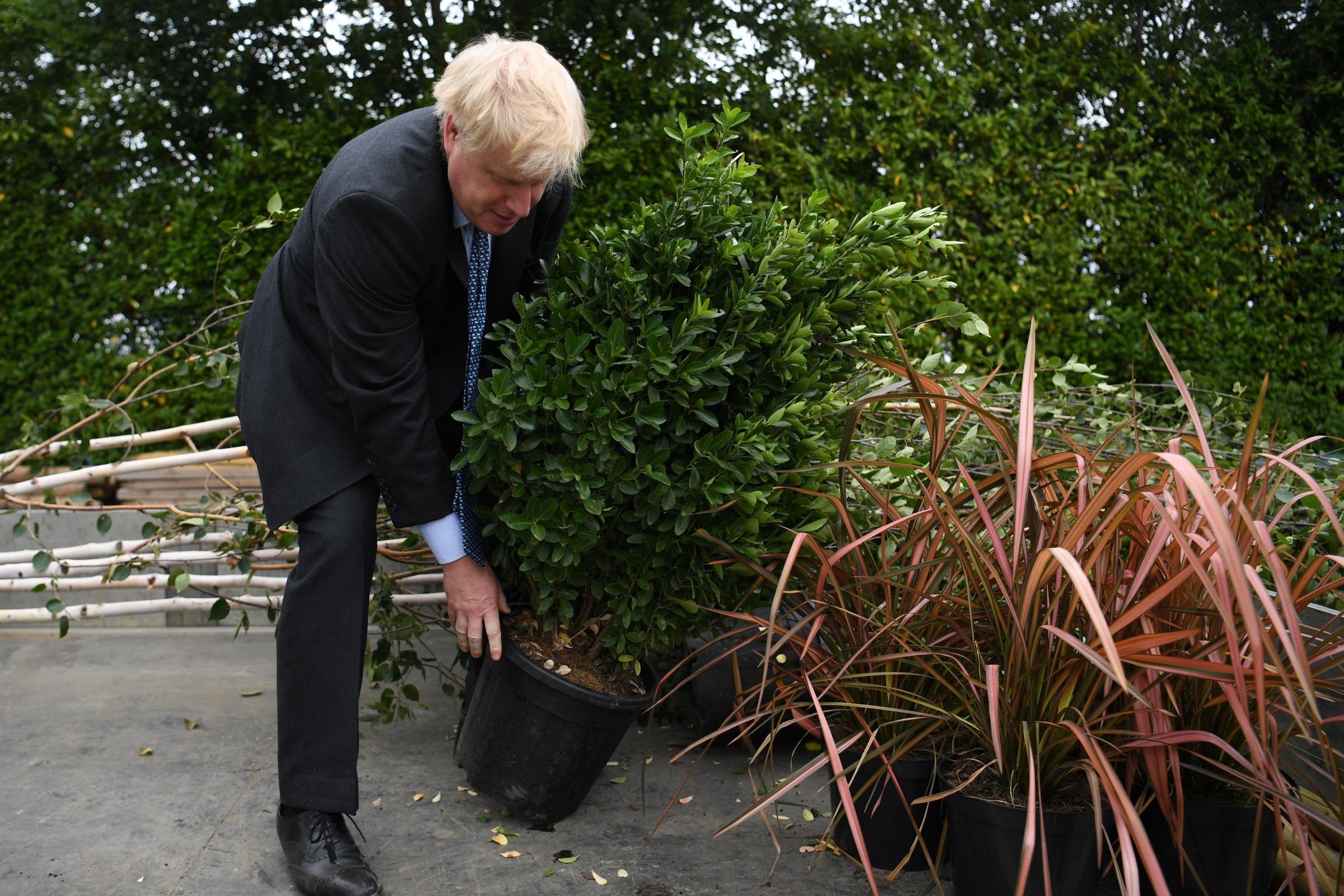 Tories and Lib Dems compete with tree-planting promises - Chelmsford Weekly News