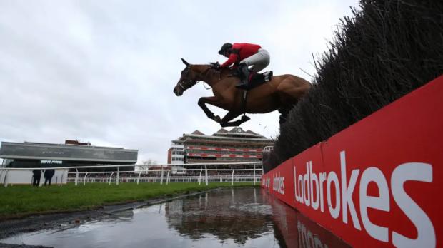 Chelmsford Weekly News: Further watering at Cheltenham has been put on hold with conditions close to the target of good to soft for the start of the Festival. (PA)