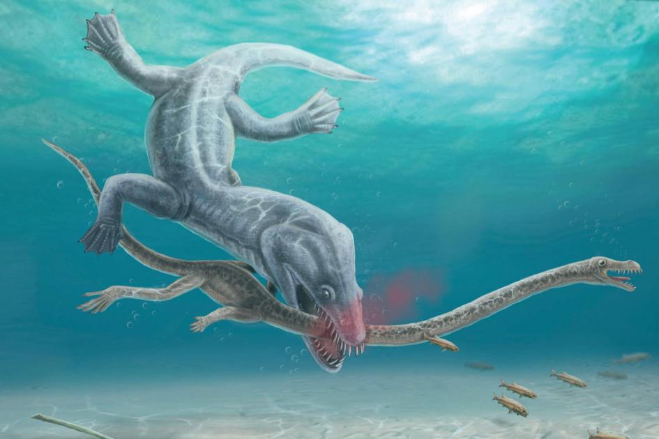 Pre-historic long-necked reptiles were decapitated by their predators – study