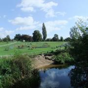 Admirals Park in Chelmsford made a Local Nature Reserve. Picture: Chelmsford Council